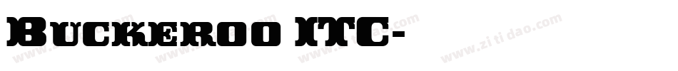 Buckeroo ITC字体转换